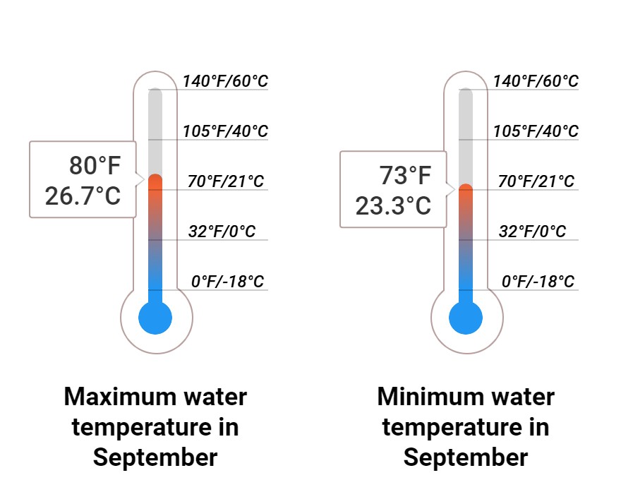 Average Sea temperature